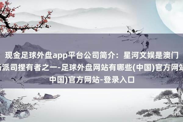 现金足球外盘app平台公司简介:星河文娱是澳门六家文娱场派司捏有者之一-足球外盘网站有哪些(中国)官方网站-登录入口
