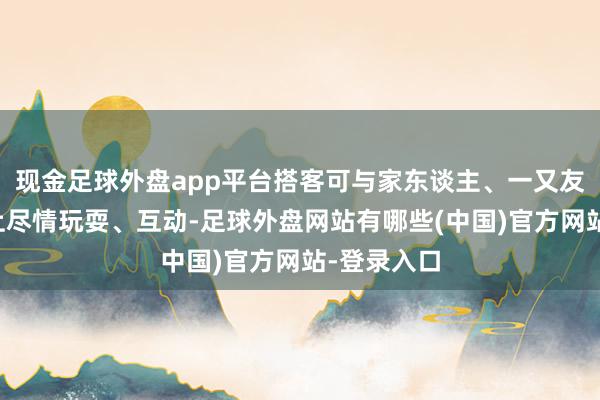现金足球外盘app平台搭客可与家东谈主、一又友沿途在冰上尽情玩耍、互动-足球外盘网站有哪些(中国)官方网站-登录入口