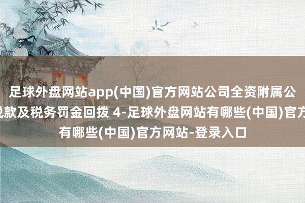 足球外盘网站app(中国)官方网站公司全资附属公司应酬的特地税款及税务罚金回拨 4-足球外盘网站有哪些(中国)官方网站-登录入口