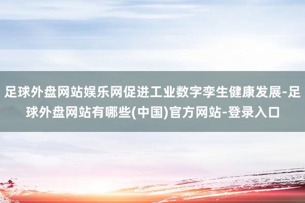 足球外盘网站娱乐网促进工业数字孪生健康发展-足球外盘网站有哪些(中国)官方网站-登录入口
