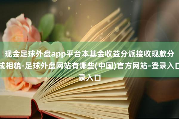 现金足球外盘app平台本基金收益分派接收现款分成相貌-足球外盘网站有哪些(中国)官方网站-登录入口
