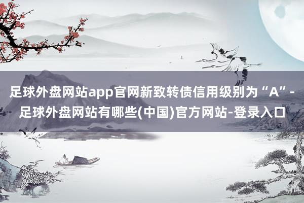 足球外盘网站app官网新致转债信用级别为“A”-足球外盘网站有哪些(中国)官方网站-登录入口