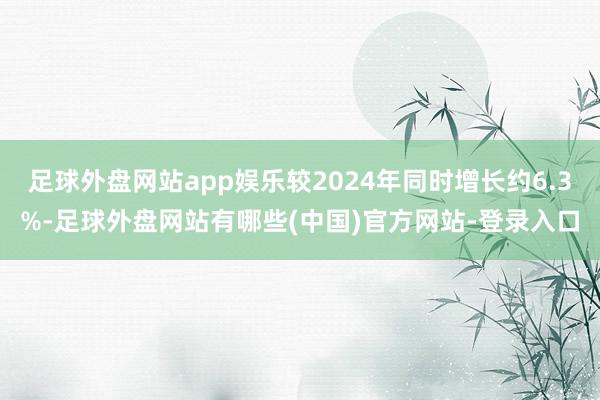 足球外盘网站app娱乐较2024年同时增长约6.3%-足球外盘网站有哪些(中国)官方网站-登录入口