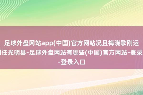 足球外盘网站app(中国)官方网站况且梅晓歌刚运转到任光明县-足球外盘网站有哪些(中国)官方网站-登录入口