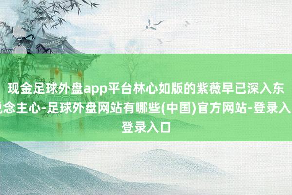 现金足球外盘app平台林心如版的紫薇早已深入东说念主心-足球外盘网站有哪些(中国)官方网站-登录入口