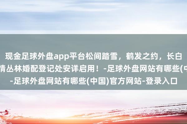 现金足球外盘app平台松间踏雪,鹤发之约,长白山好意思东说念主松爱情丛林婚配登记处安详启用!-足球外盘网站有哪些(中国)官方网站-登录入口