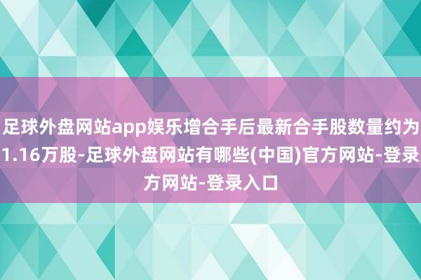 足球外盘网站app娱乐增合手后最新合手股数量约为1681.16万股-足球外盘网站有哪些(中国)官方网站-登录入口