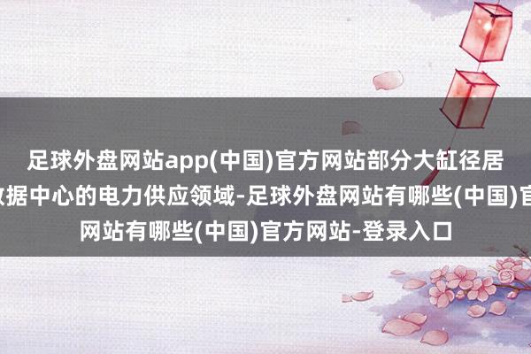 足球外盘网站app(中国)官方网站部分大缸径居品被等闲欺骗于数据中心的电力供应领域-足球外盘网站有哪些(中国)官方网站-登录入口