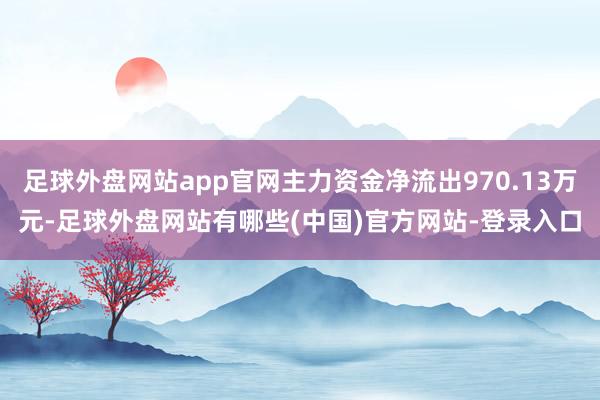 足球外盘网站app官网主力资金净流出970.13万元-足球外盘网站有哪些(中国)官方网站-登录入口