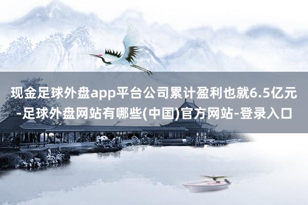 现金足球外盘app平台公司累计盈利也就6.5亿元-足球外盘网站有哪些(中国)官方网站-登录入口