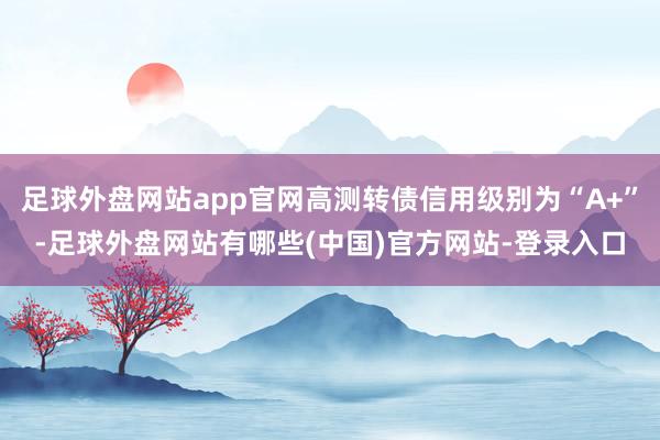 足球外盘网站app官网高测转债信用级别为“A+”-足球外盘网站有哪些(中国)官方网站-登录入口