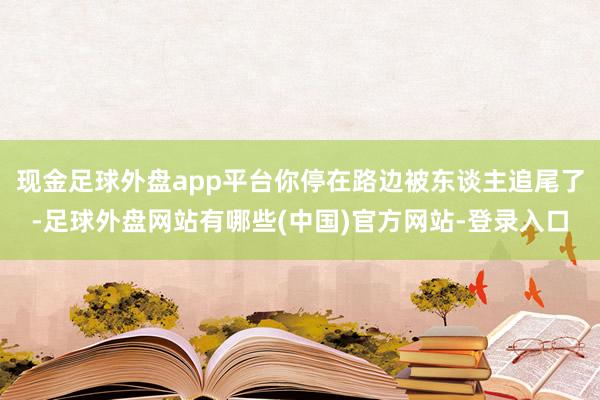现金足球外盘app平台你停在路边被东谈主追尾了-足球外盘网站有哪些(中国)官方网站-登录入口