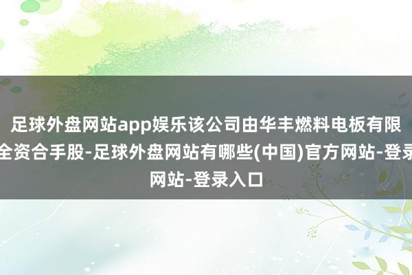 足球外盘网站app娱乐该公司由华丰燃料电板有限公司全资合手股-足球外盘网站有哪些(中国)官方网站-登录入口