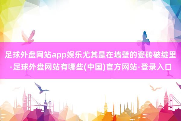 足球外盘网站app娱乐尤其是在墙壁的瓷砖破绽里-足球外盘网站有哪些(中国)官方网站-登录入口