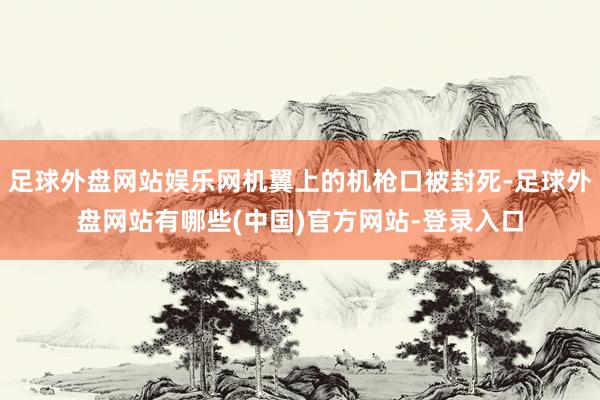 足球外盘网站娱乐网机翼上的机枪口被封死-足球外盘网站有哪些(中国)官方网站-登录入口