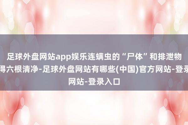 足球外盘网站app娱乐连螨虫的“尸体”和排泄物齐吸得六根清净-足球外盘网站有哪些(中国)官方网站-登录入口