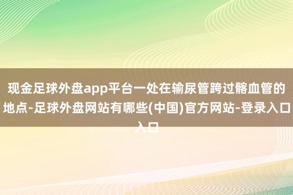 现金足球外盘app平台一处在输尿管跨过髂血管的地点-足球外盘网站有哪些(中国)官方网站-登录入口