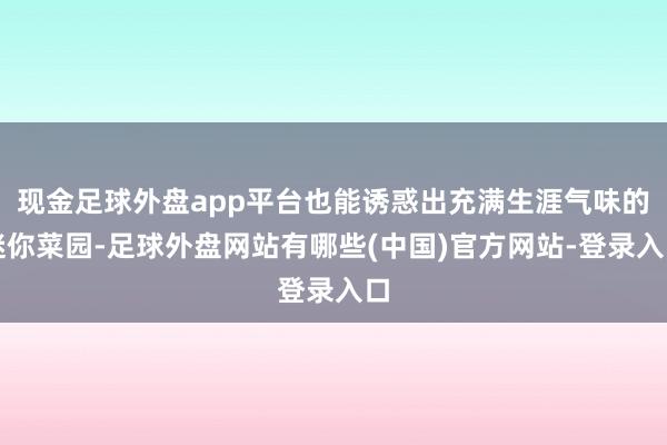现金足球外盘app平台也能诱惑出充满生涯气味的迷你菜园-足球外盘网站有哪些(中国)官方网站-登录入口